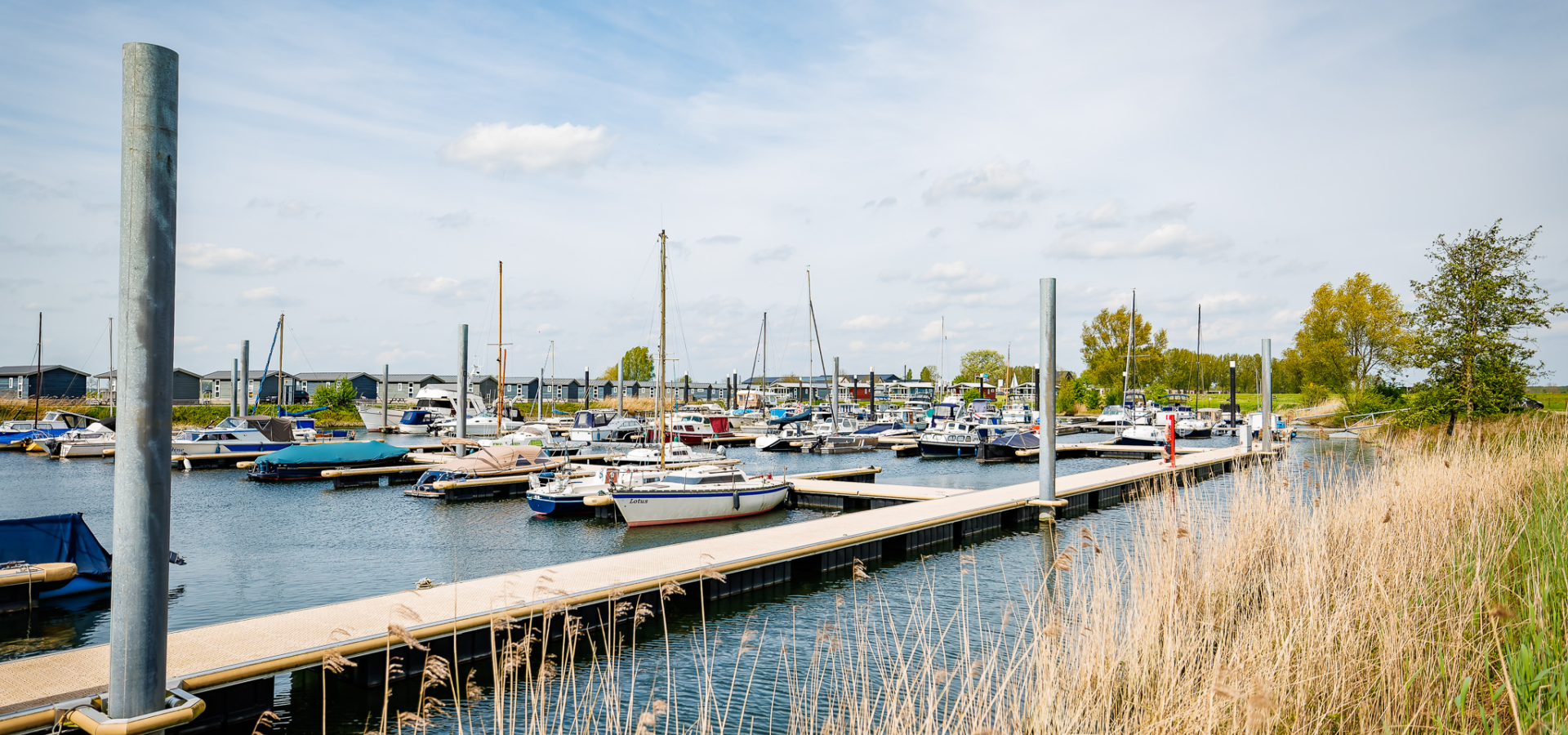 20240413 The Arrows Eilandvan Maurik MH 39920 CR3 PURE