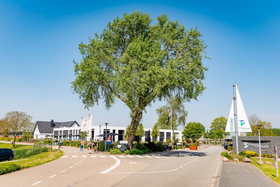 20240501 The Arrows E Ilandvan Maurik MH 35952 CR3 PURE